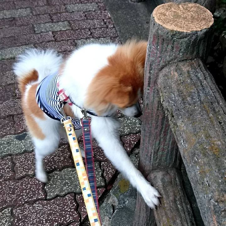 6ebf695b 6098 44bc a0e7 9206dd8a446b