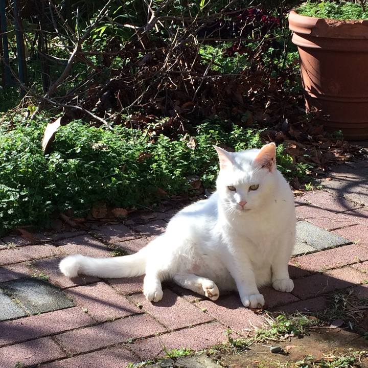 6ebf70be 9a6e 4e6b 9ed3 661a35fd51f3