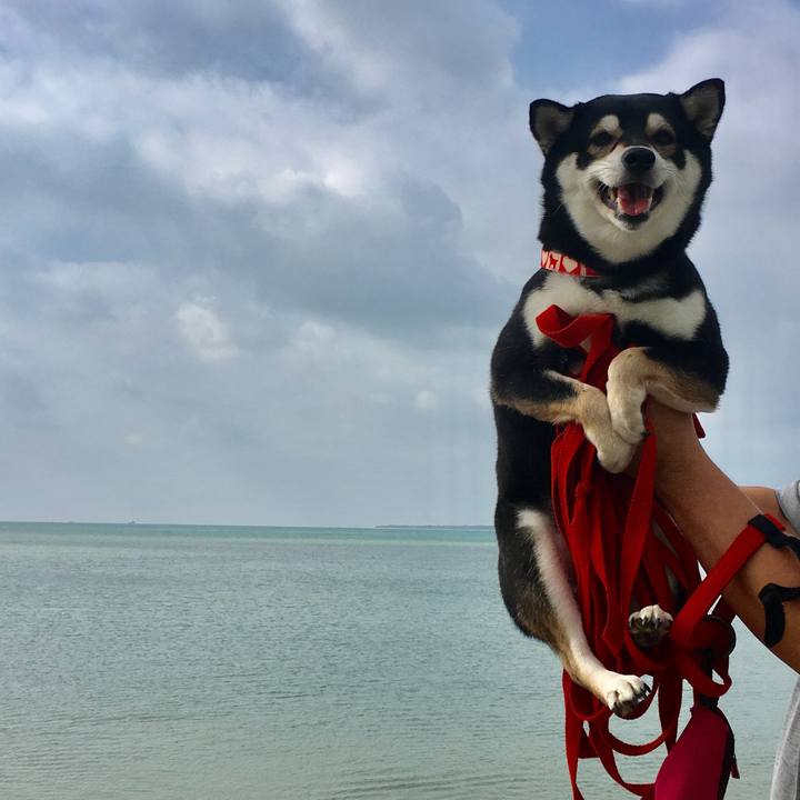 6ebf7591 459d 4d81 859c 226898d7ebd0