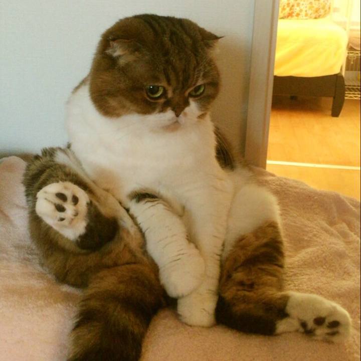 6ebf8044 36a2 4176 8d77 8494599612cd