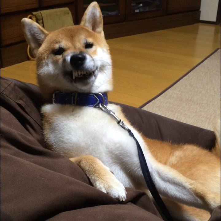 6ebfc8aa e398 4e2c a27b e7ba87a2d933