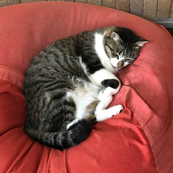 6ebfdeff 9d8b 4b01 bf90 ba6383c91881