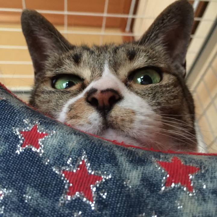 6ebffa53 fa99 4df2 aaa9 dce881c8a023