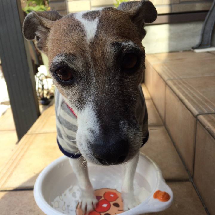 6ec0260a a54b 4e59 9343 caa72e77f5e8