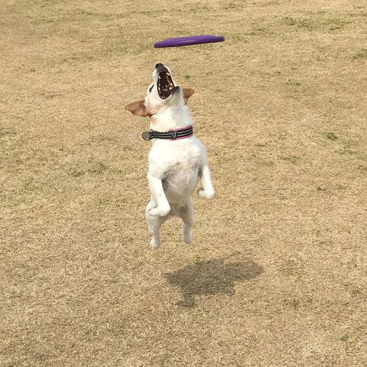 6ec055b5 c380 42b5 8201 7332402ef5da