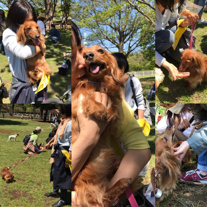 6ec1147a d8b5 4267 ae6b bdd94a1c39ad