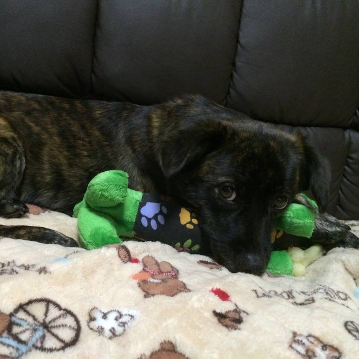 6ec19ff5 05f3 4bd3 91e9 ad5875e29a38