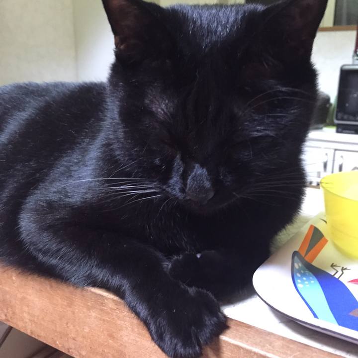 6ec1f25c 051b 4e3d aef1 f70d69683281