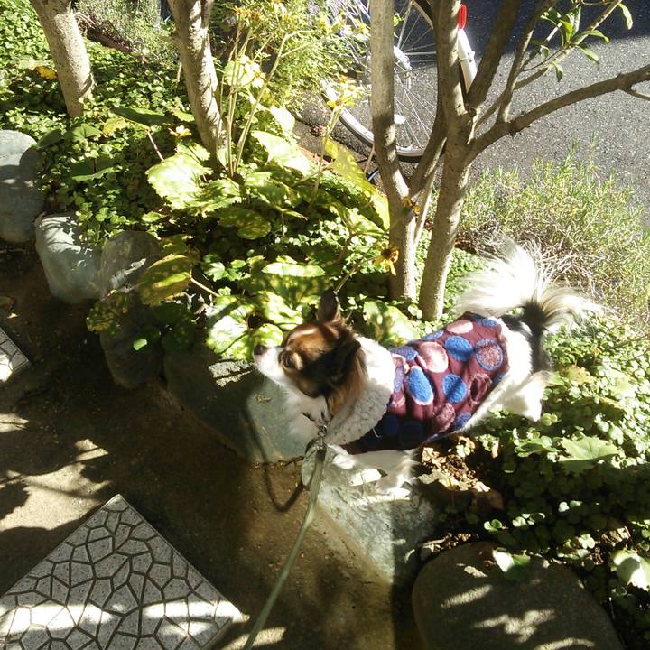 6ec27e3d 9e8a 44fa 8690 9bb5a4c11ac6