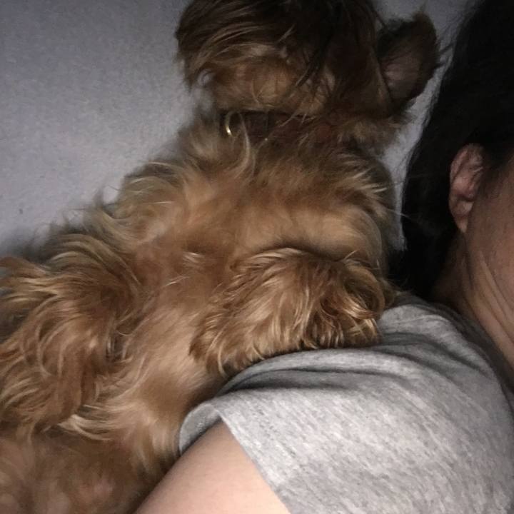 6ec2af69 7d80 486e b21e b22f1b9b4e50