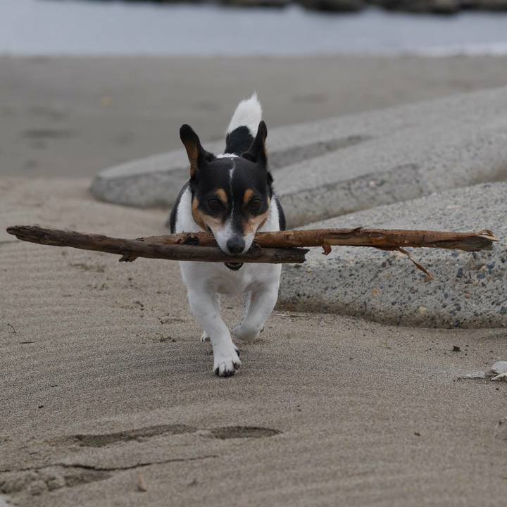 6ec2c26b ec69 469b 9d44 e4a9fe04d449