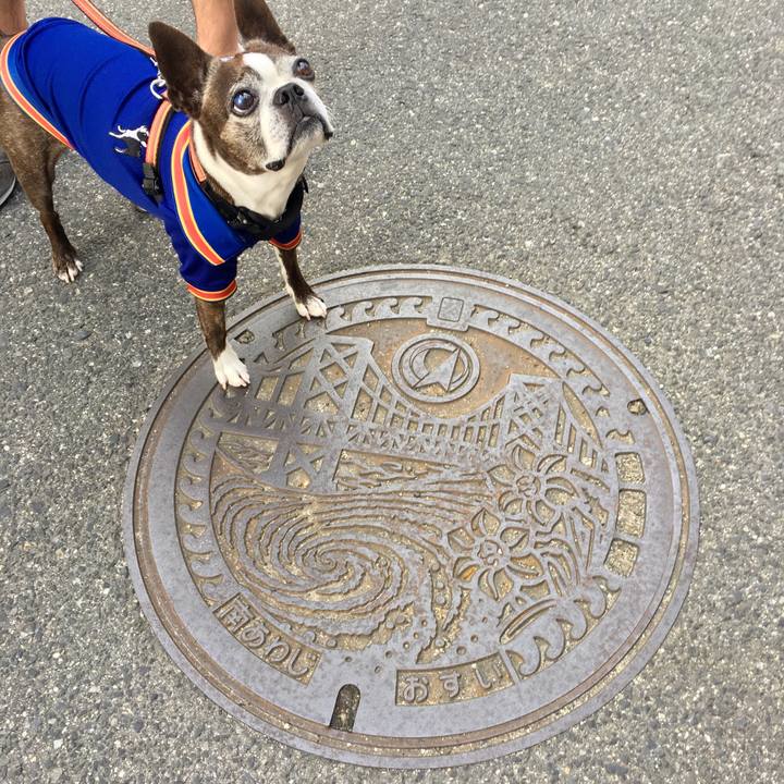 6ec33f2e b997 4d30 b64b 425057ee86a9