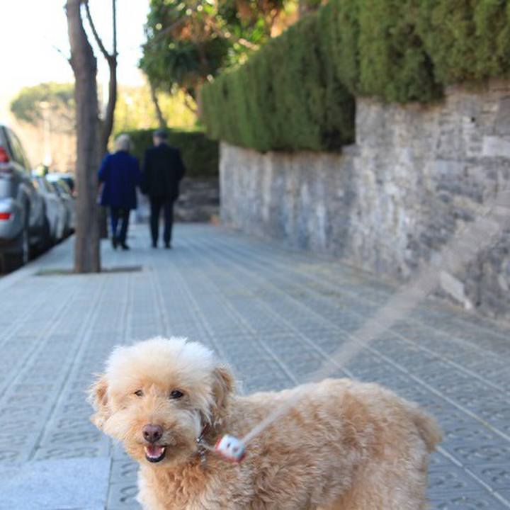 6ec3c8b7 22d1 4688 ab14 67ecdbe40aa7