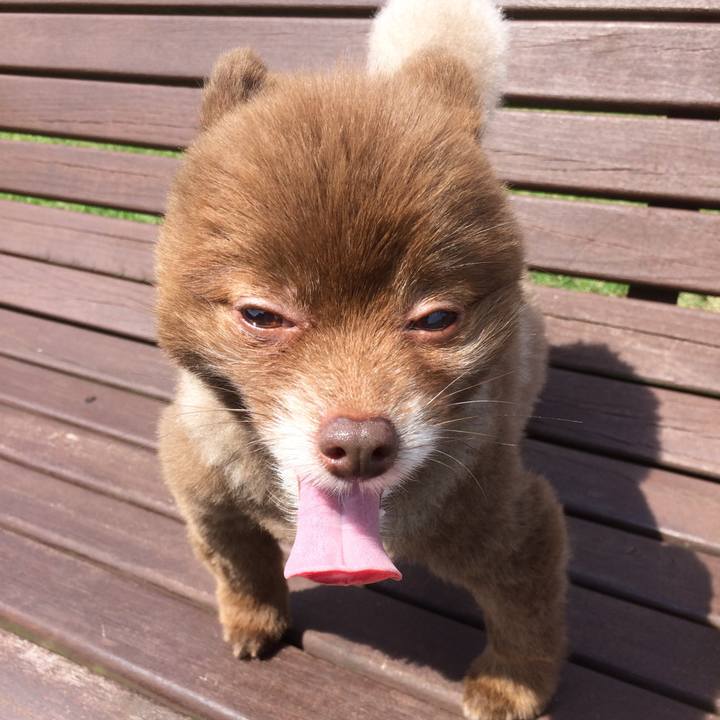 6ec3ea40 e11d 4094 acbc 74eb9acf5898