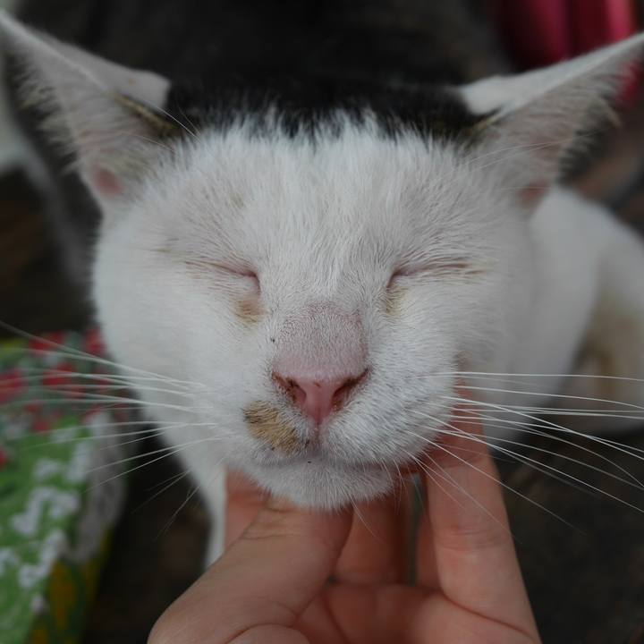 6ec40b29 4a53 4e58 a07c 36dc54b1a3f3