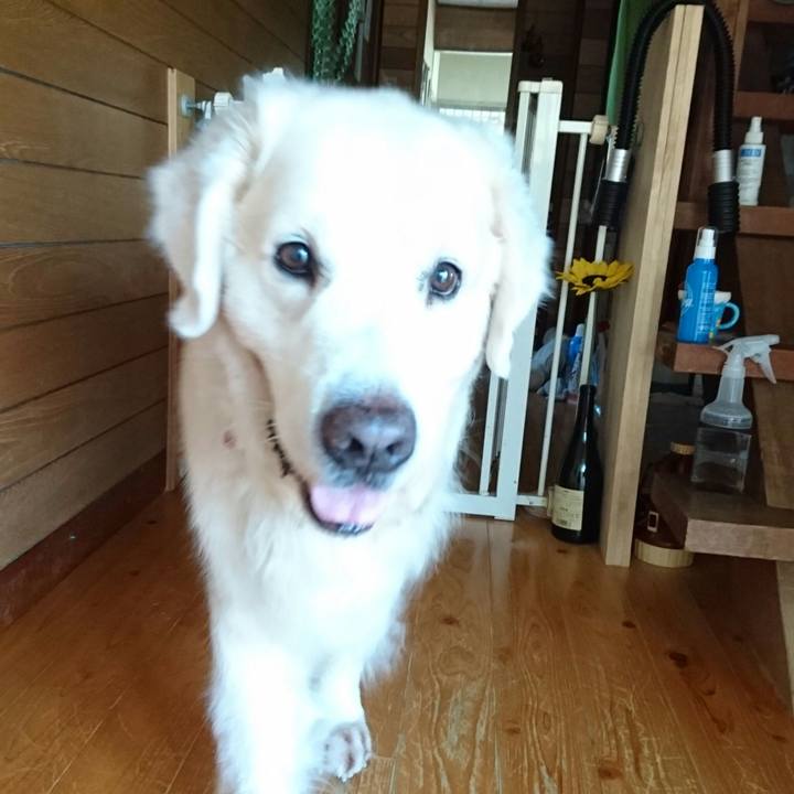 6ec41234 48f1 4562 801b d3b529375531