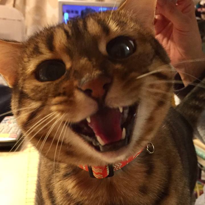 6ec48bce 7b95 4798 853c 2d2ed90fe752