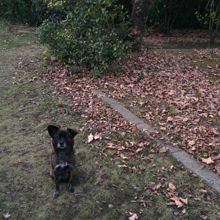 6ec5293e 26b5 4a6a ad89 5685f029da32