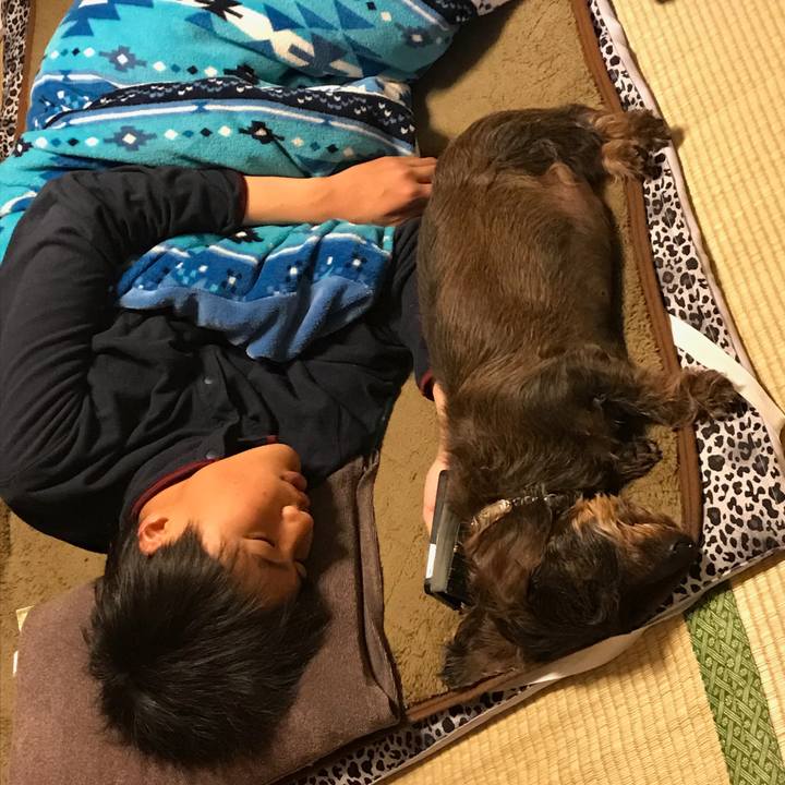 6ec5d425 d366 4ea1 9ade f12e01b8f592