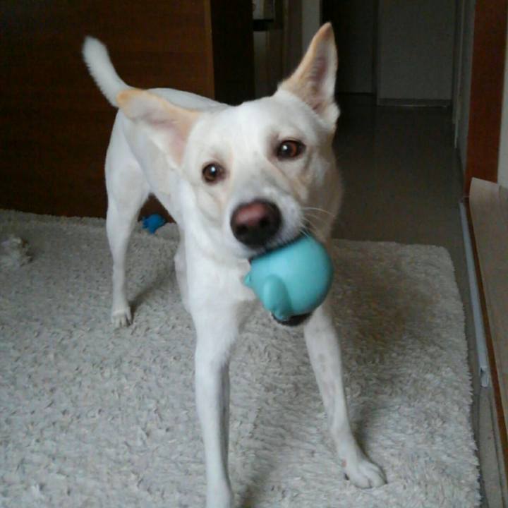 6ec5dfd9 f16e 4cc4 b396 f1b45f0527f6