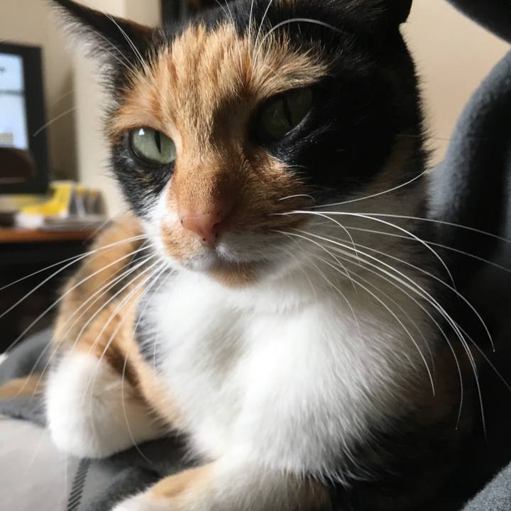 6ec61606 9c02 4dab 88e5 5b670c31f0a9