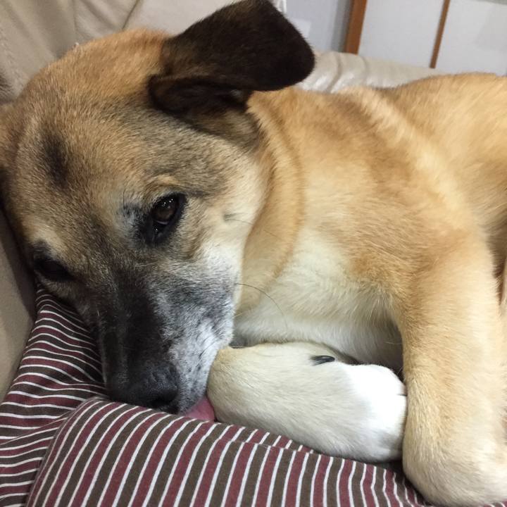 6ec63e8d 3dd1 45d1 891e c2a5abeca549