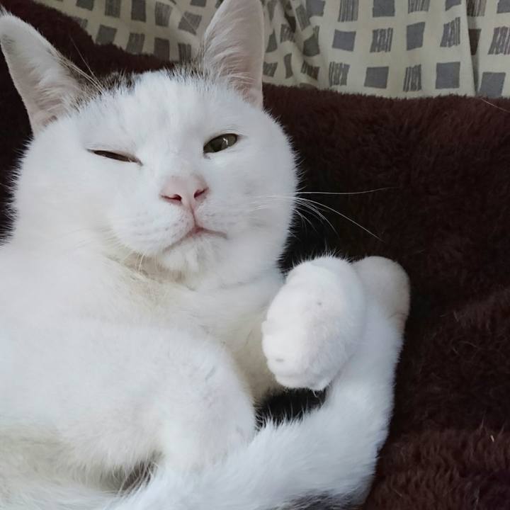 6ec67ff5 36b6 4fcc bf1a 8382be965c46