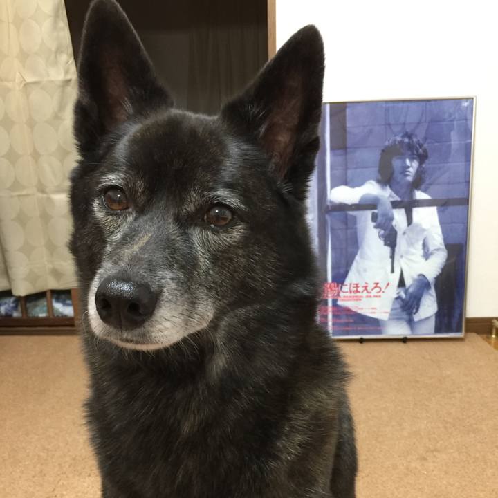 6ec6df05 5be3 4256 b718 beeb3a1c2a1a