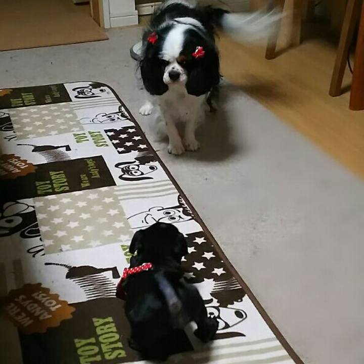 6ec6ee0d b03a 48a3 a9c1 178e48e2b569