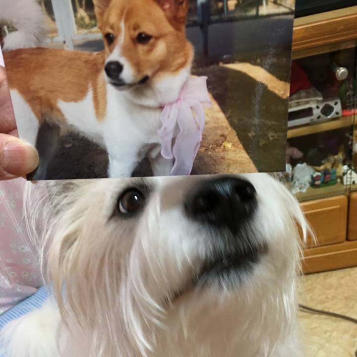 6ec7344b 600f 48c5 a93c b2be9db07b56