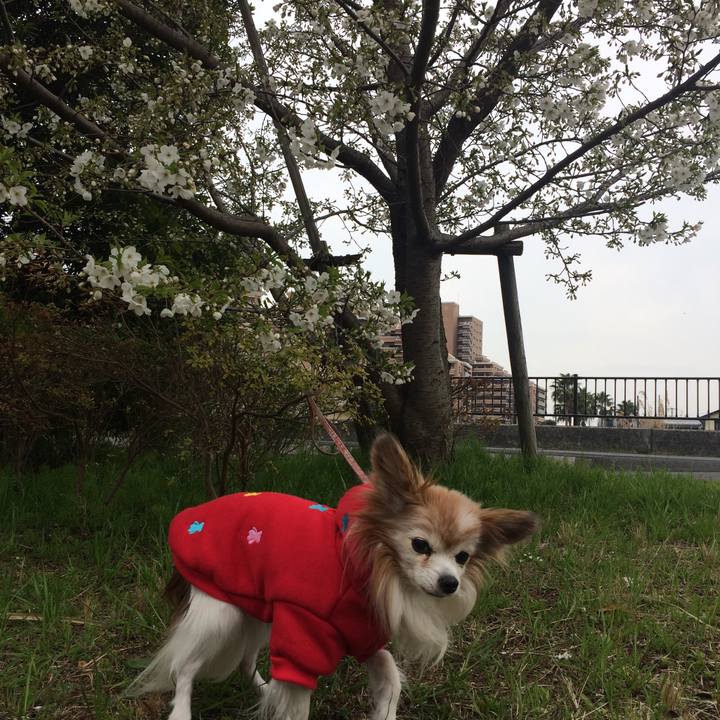 6ec74423 ee9e 4ae3 8c5e ae790063b33c