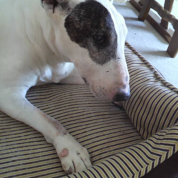 6ec7beb5 66bc 4473 82bf 93d6adfa65d9