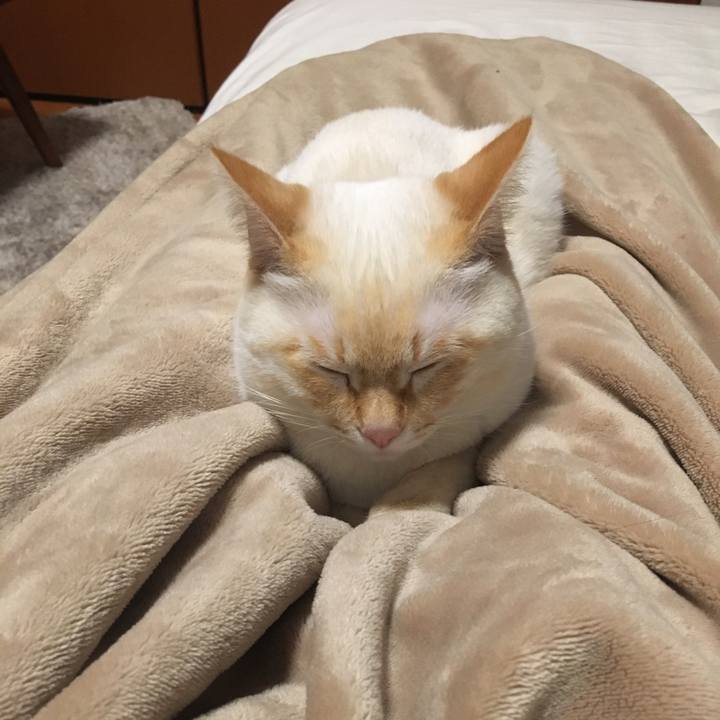 6ec81e74 2ffc 470b b1b2 e066e2d1387e