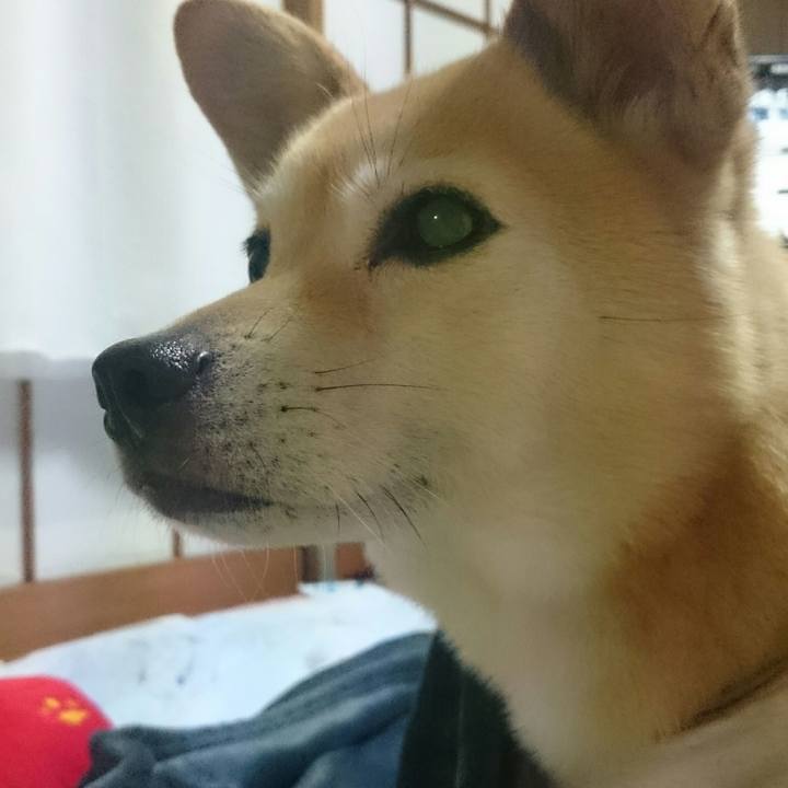 6ec9721f aad2 41db 8689 3929b1fe593f