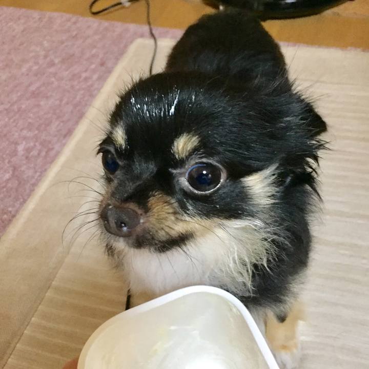 6eca4d6e ab62 492a a846 ac2c7585d773