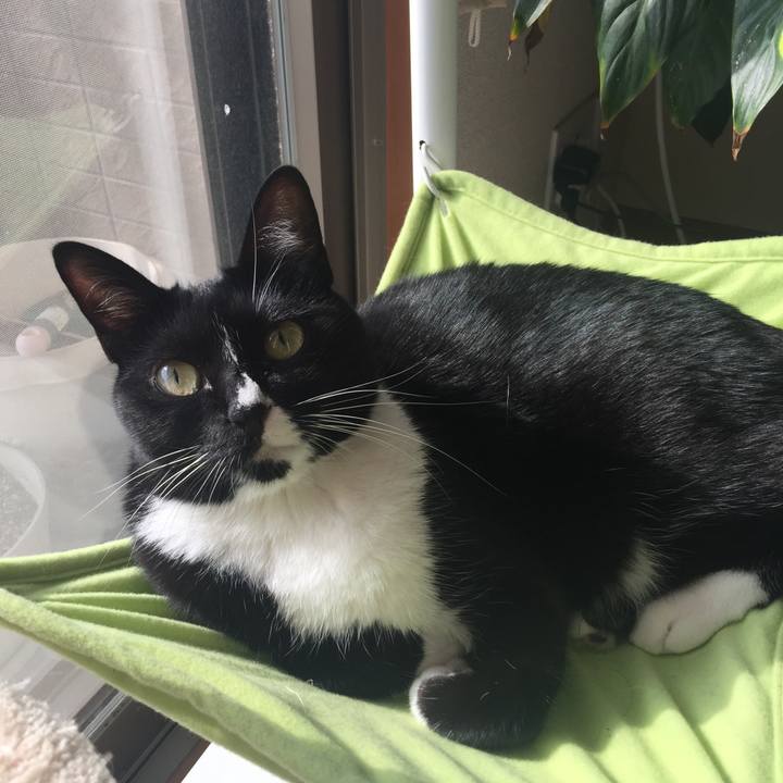 6ecaf873 aad8 4294 b332 b8a11fd92105