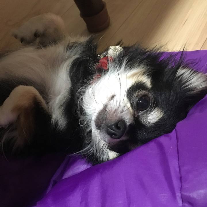 6ecb9a6f 4b85 41de ab76 f5f6ef29fcd6