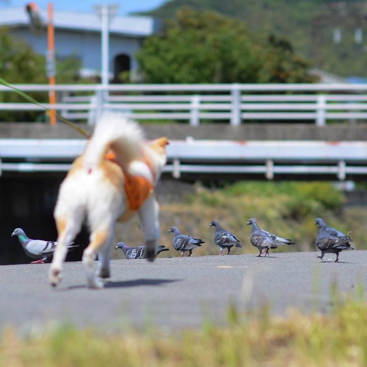 6ecbb422 67cb 484c ba7a 78e8620d1a35