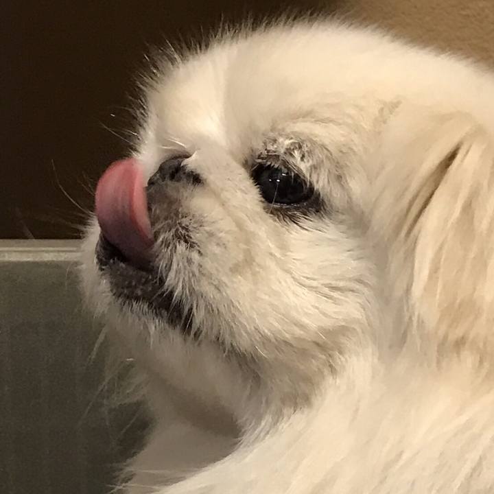 6ecbfefe a98e 4fc4 bf78 c1ad6c8e6a5a