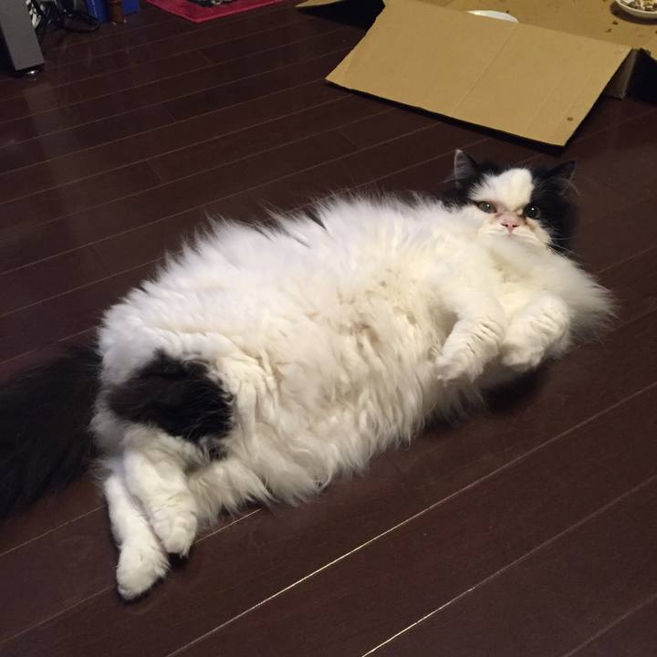 6ecc5a5b 28c4 41b7 b012 2bb903c0836d