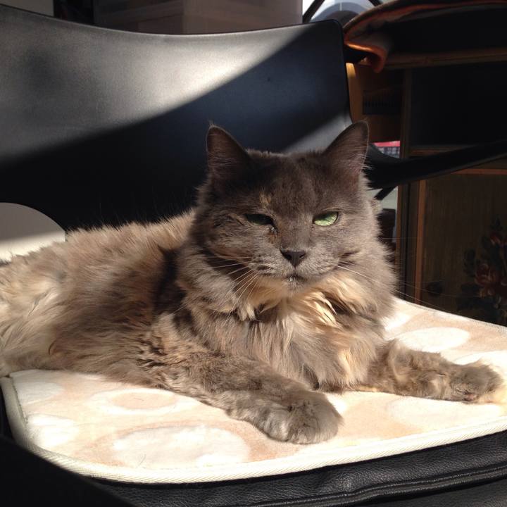 6ecc78de a255 4032 b27e 97d5d7f91de7