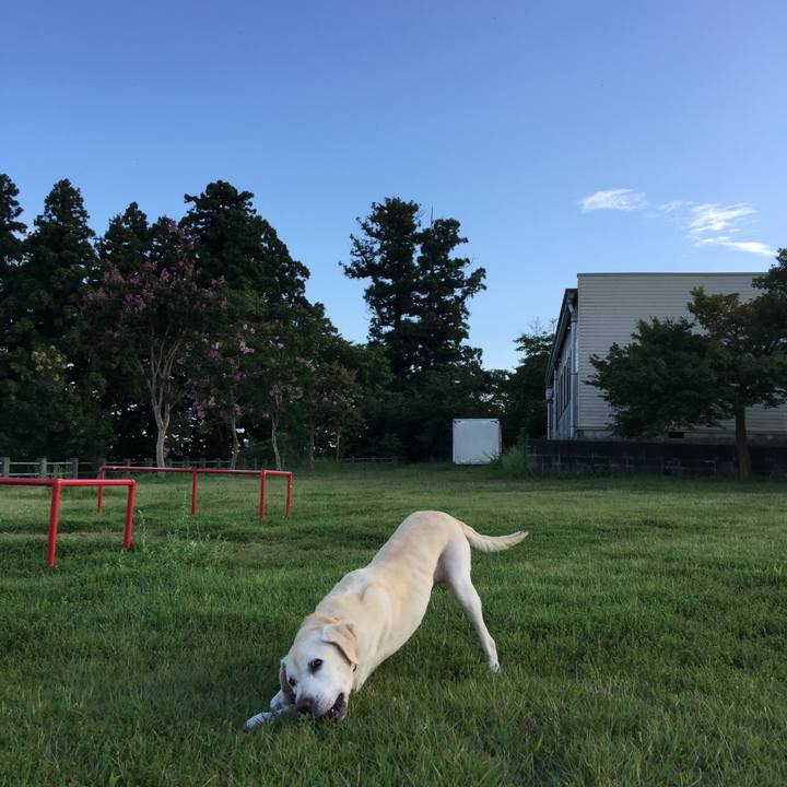 6ecc7d42 6ceb 4c9b 8cc5 92a306e7ee02