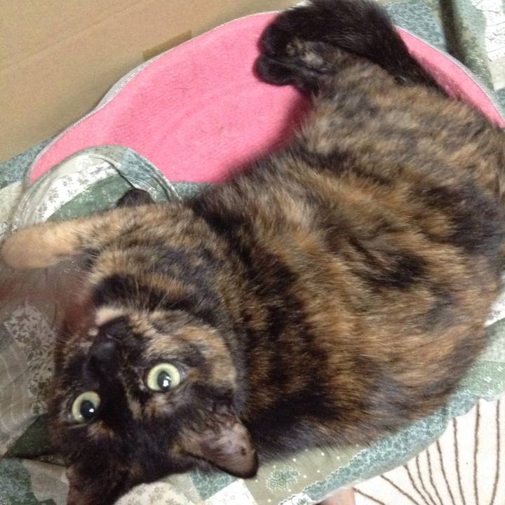 6ecd235c 9bb3 4db5 82e3 e328cdda3fcf