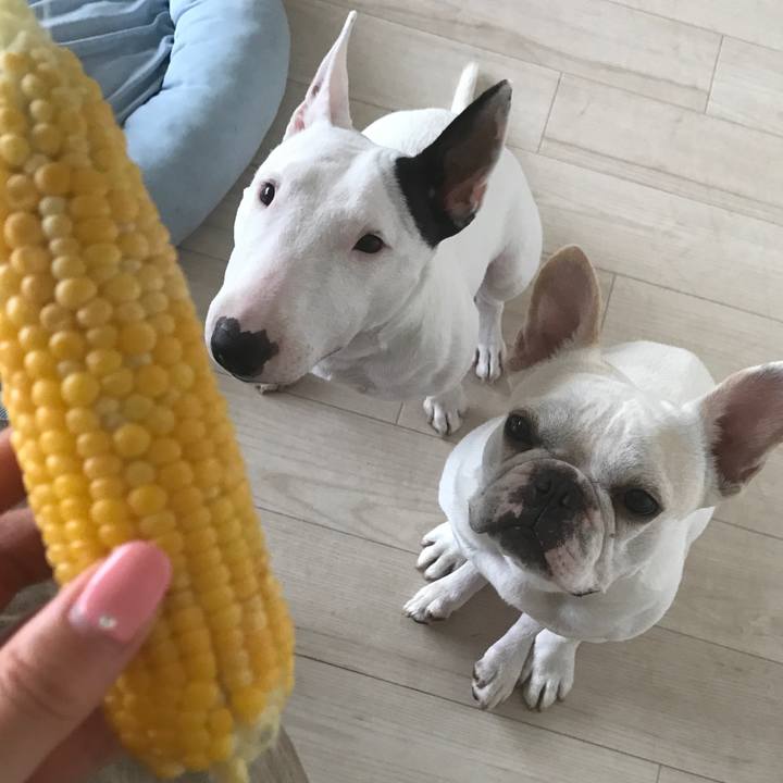 6ecd56d1 0dfb 4ae2 845f 8e42adc671c5