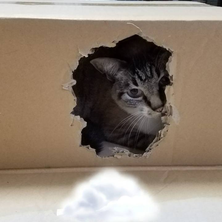 6ecdbde9 7d74 4235 8fe6 7cf3924e2bcc