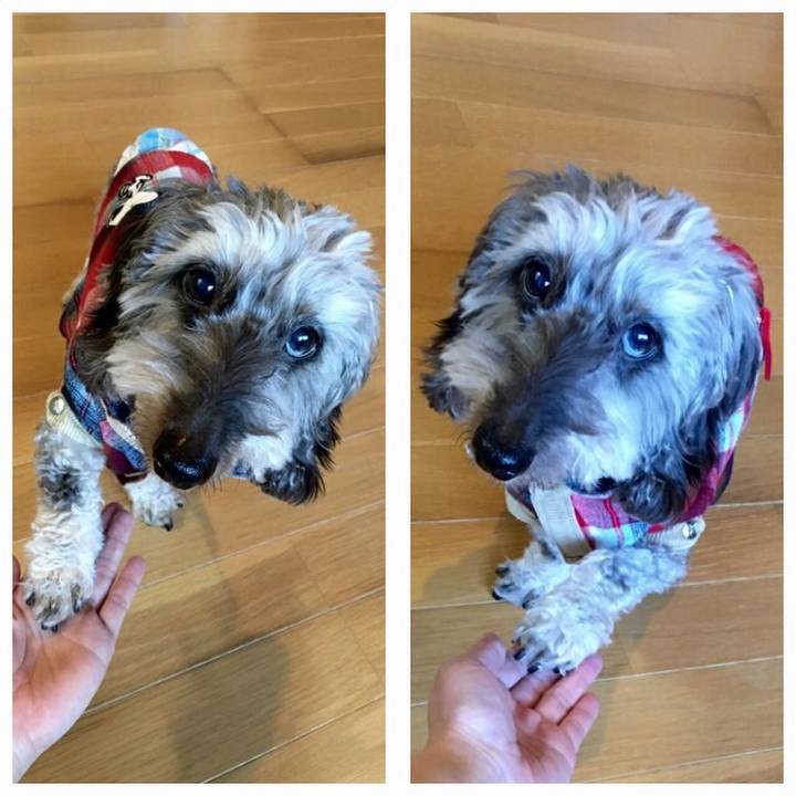 6ecdf1d2 1e32 4dd5 81fa cb29f9c1ad57