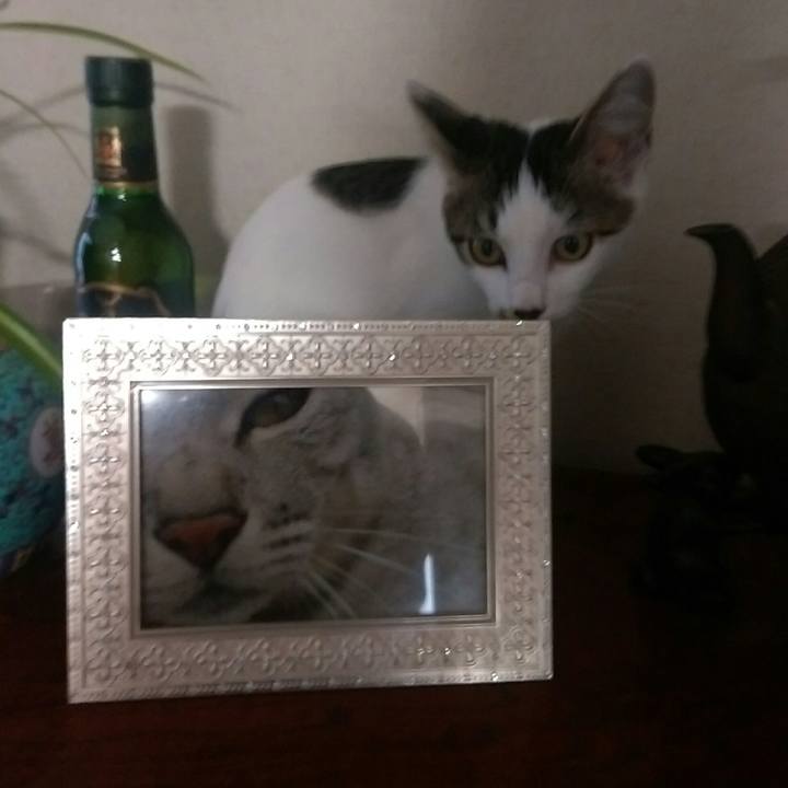 6ecdf330 0704 4add 9419 5e1bc10b5287