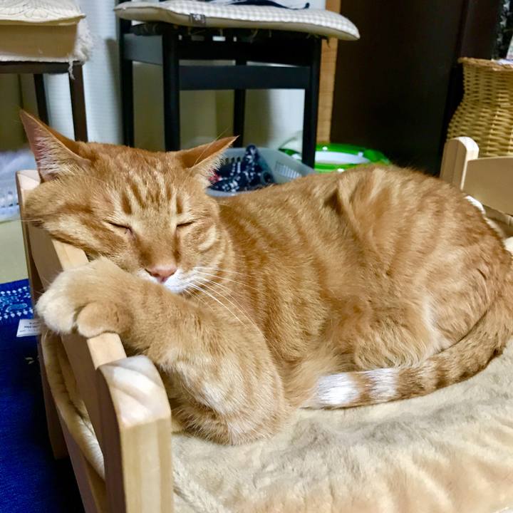 6ece3f63 fce4 4a62 ade4 08bb5b6e6d8c