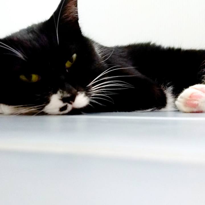 6ece5ab6 e41a 43da b770 13c4663f8110