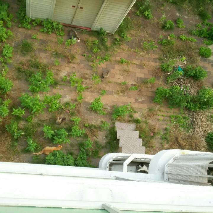 6ecebaca 99fc 419b 8ada 23f309157cc9